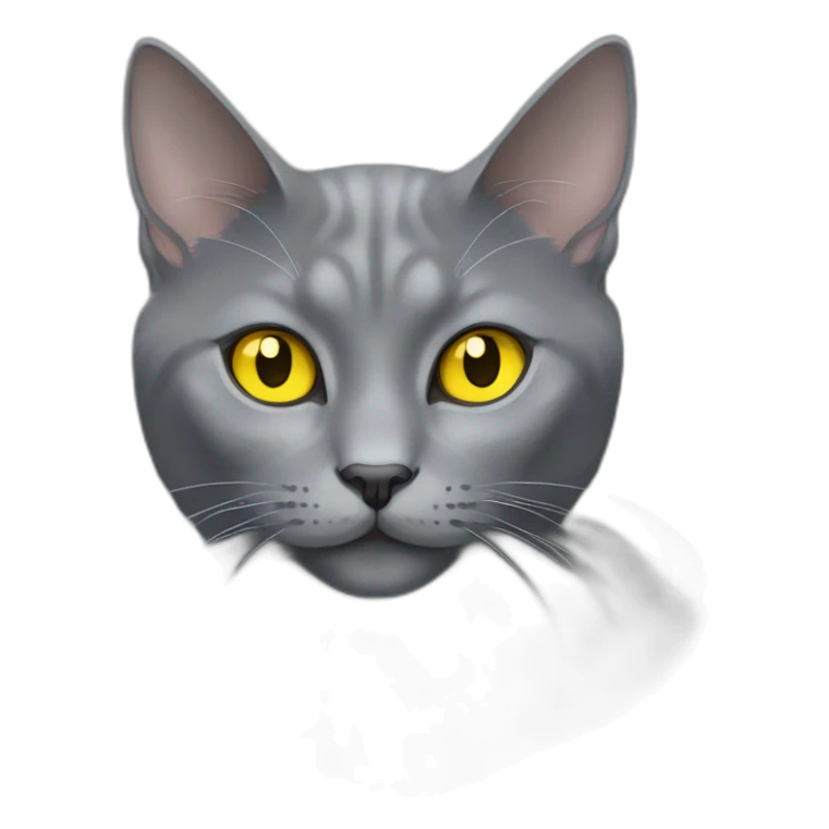 fluffy grey korat breed cat with yellow eyes black pupils, sleeping female sticker