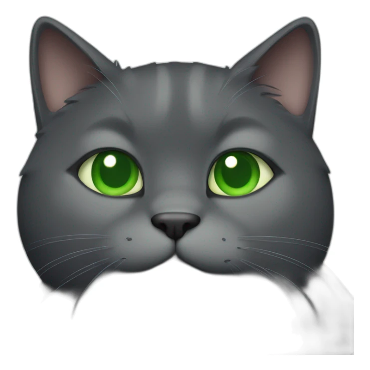 happy dark grey fat cat with green eyes sticker