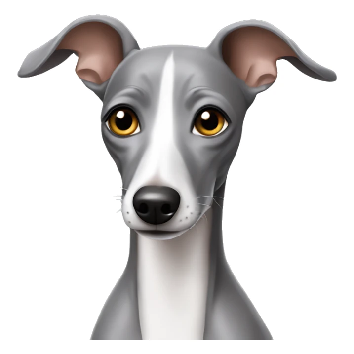 Grey Italian greyhound  sticker