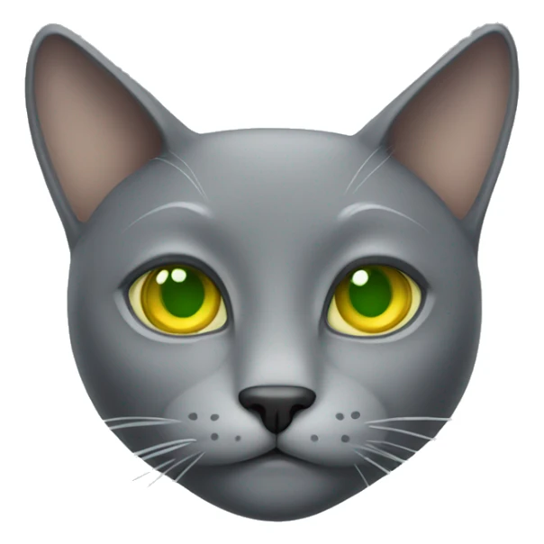 grey cat with stupid face and yellow green eyes sticker