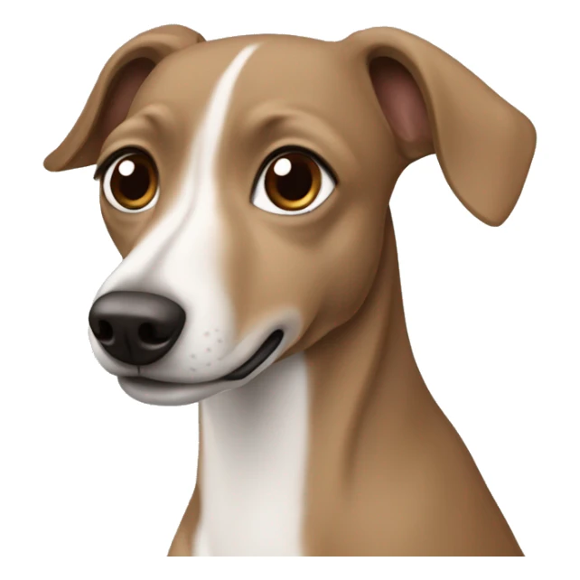 Grey brown Formosa mountain dog and Italian greyhound mix sticker