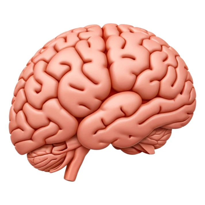 "Realistic 3D human brain emoji, detailed neural folds, soft reflections, glossy texture, subtle shadows, rounded friendly emoji shape, high resolution, transparent background" sticker