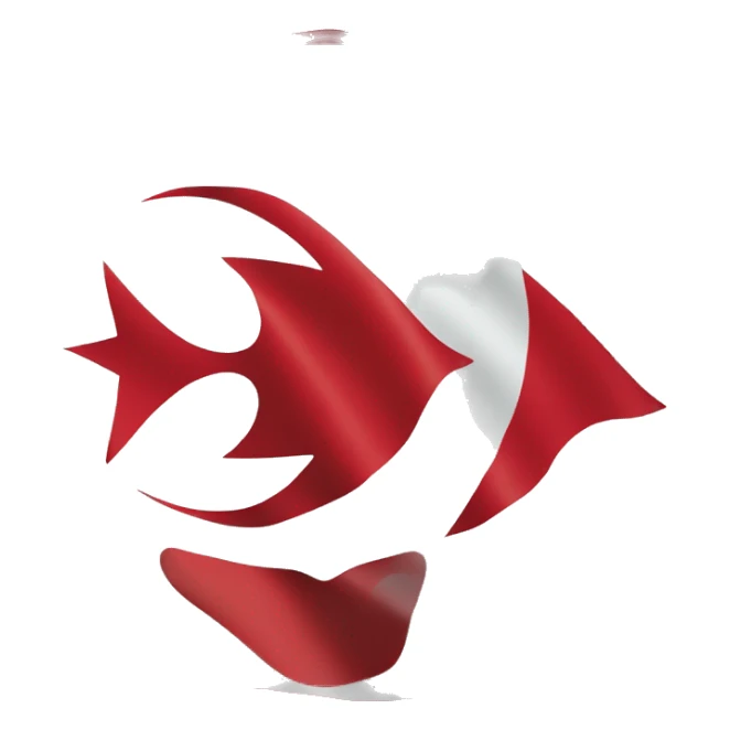 flag of turkish republic of northern cyprus sticker