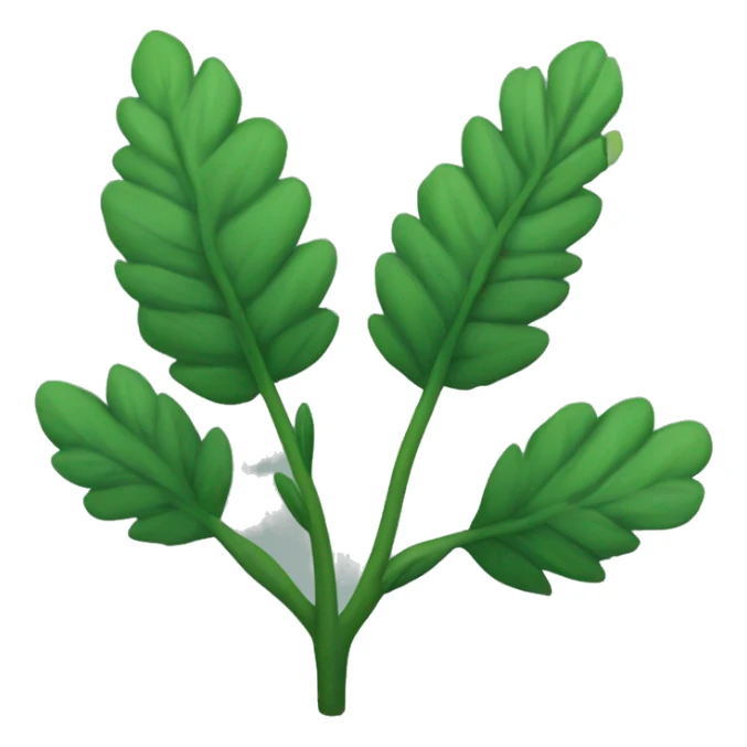 a plant with a thin, slightly hairy green stem and oval, dark green, serrated leaves arranged in opposite pairs along the stem. sticker