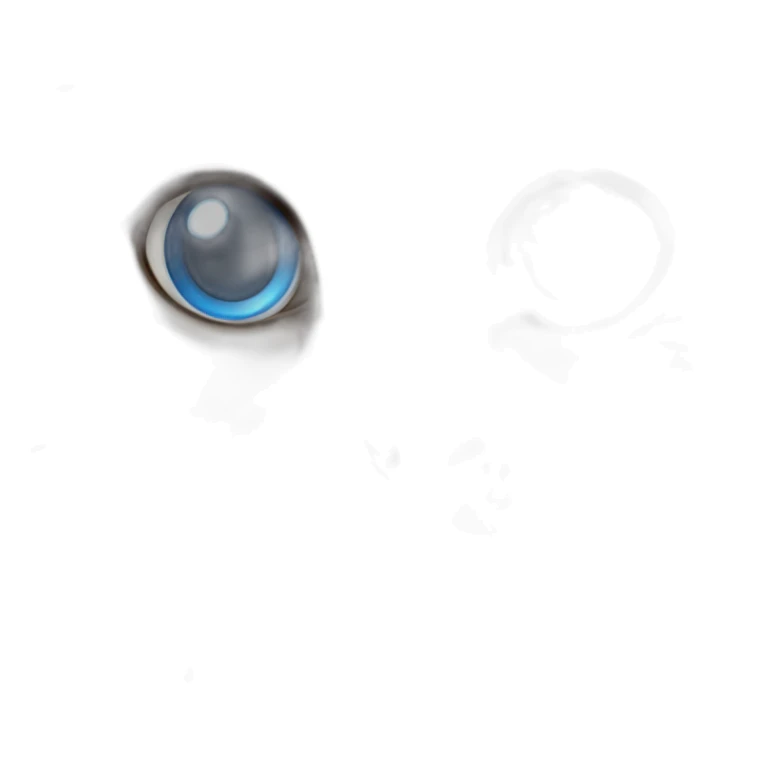 A very hairy brown ragdoll cat with blue eyes sticker