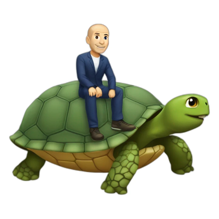 Zinedine Zidane sur une tortue sticker