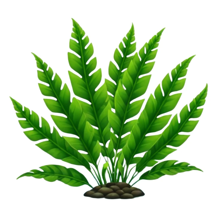 java fern sticker