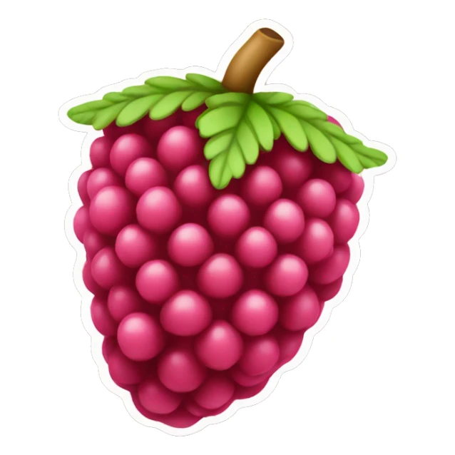 raspberry sticker