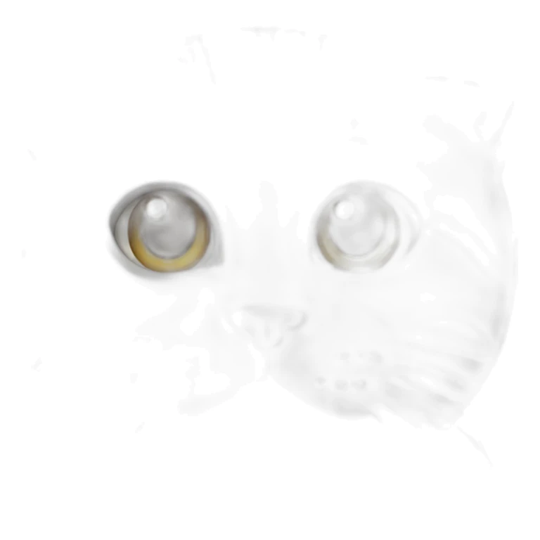 cat wearing a wife beater with grey sweat pants sticker