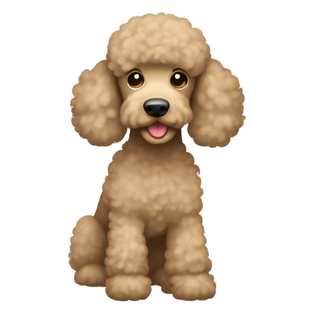 Standard poodle in the color fawn sticker