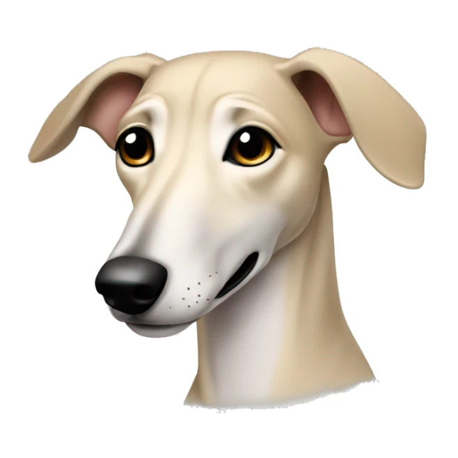 Cute Italien greyhound boy beige color sticker