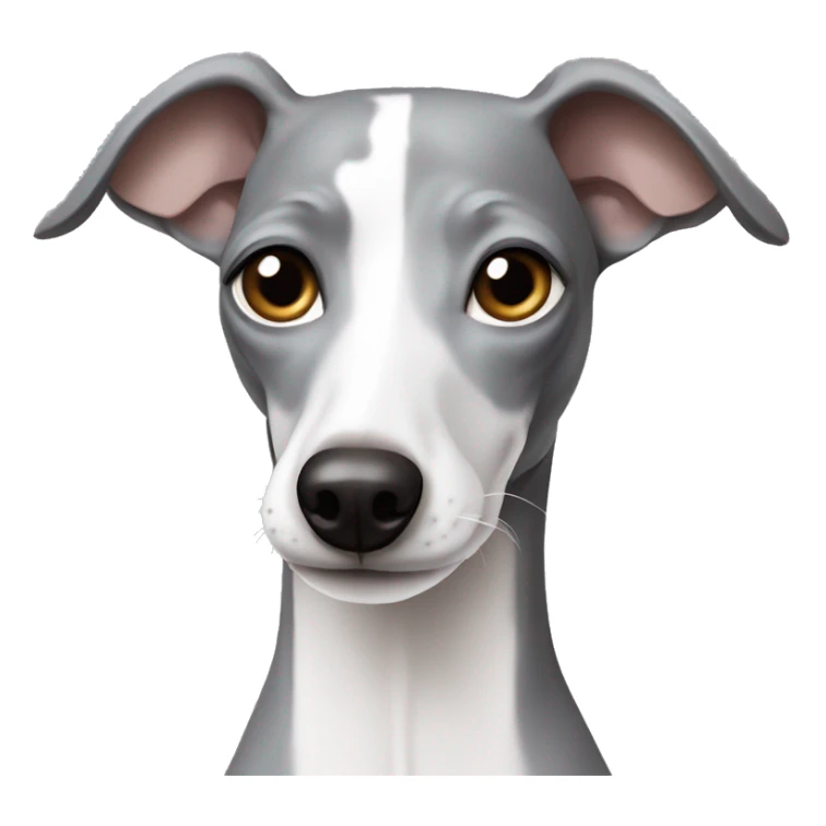 grey and white italian greyhound sticker