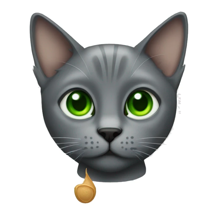 Grey cat with green eyes with a Guinness  sticker