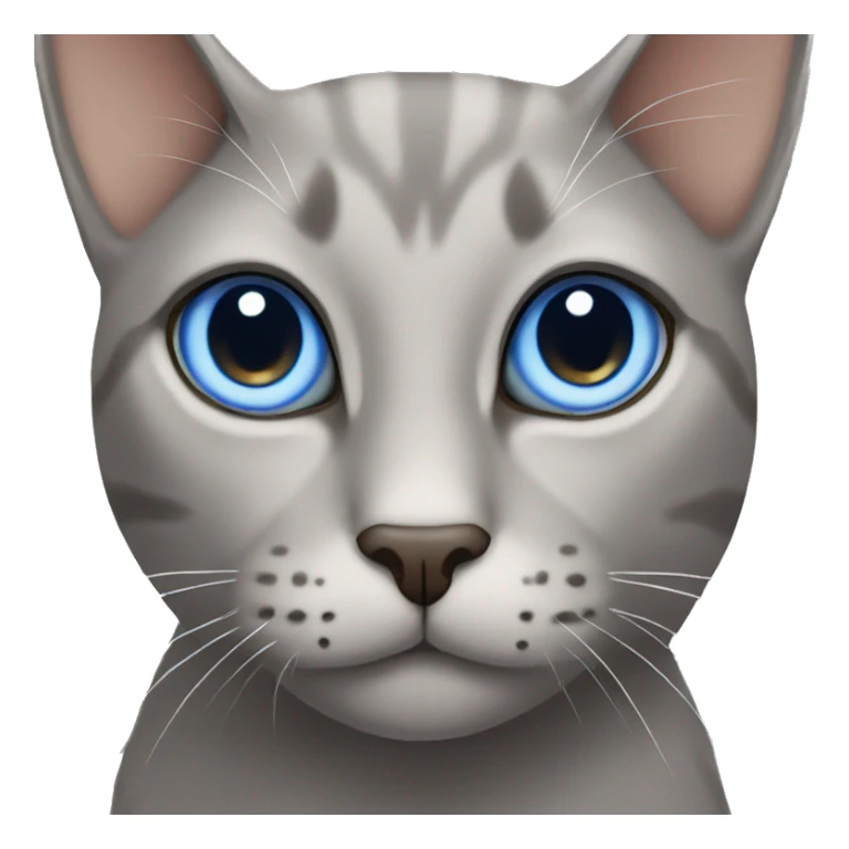 grey cat with brown eyes and beige cat with blue eyes sticker
