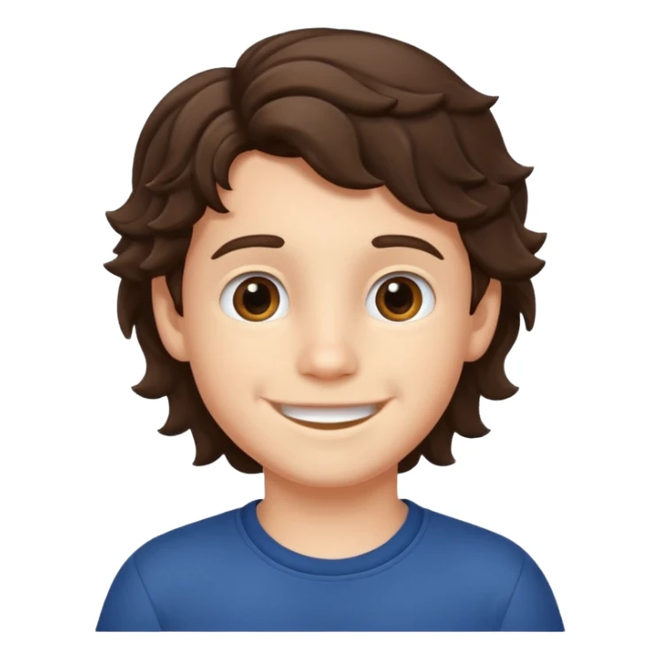 brunette wavy hair  boy 6 years old sticker