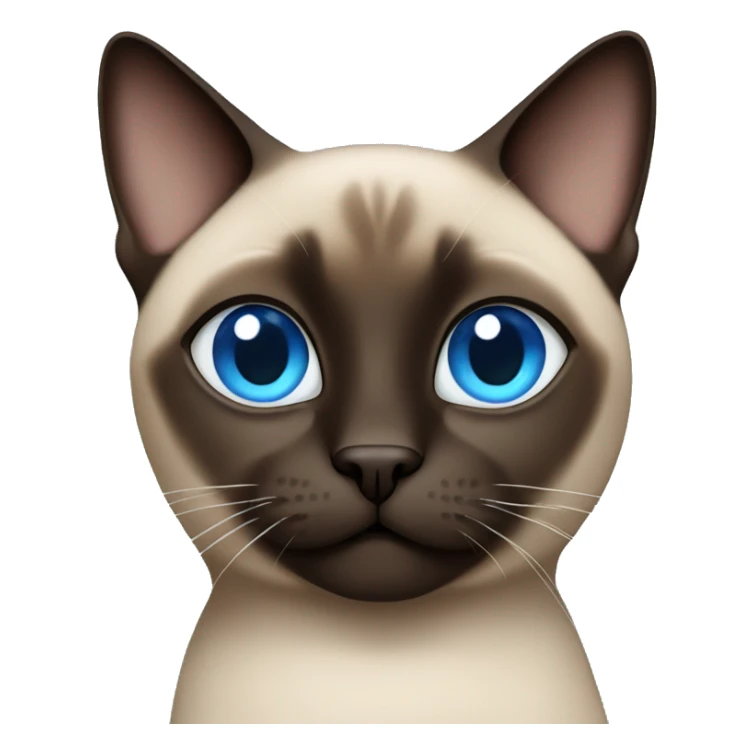 dark brown and fat siamese cat with blue eyes sticker