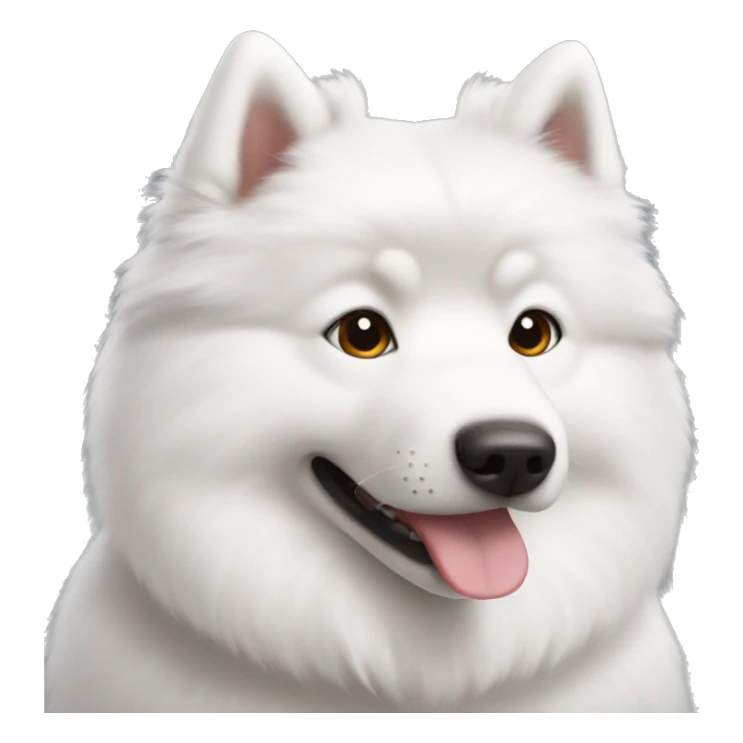 White Samoyed dog with short hair and brown eyes  sticker
