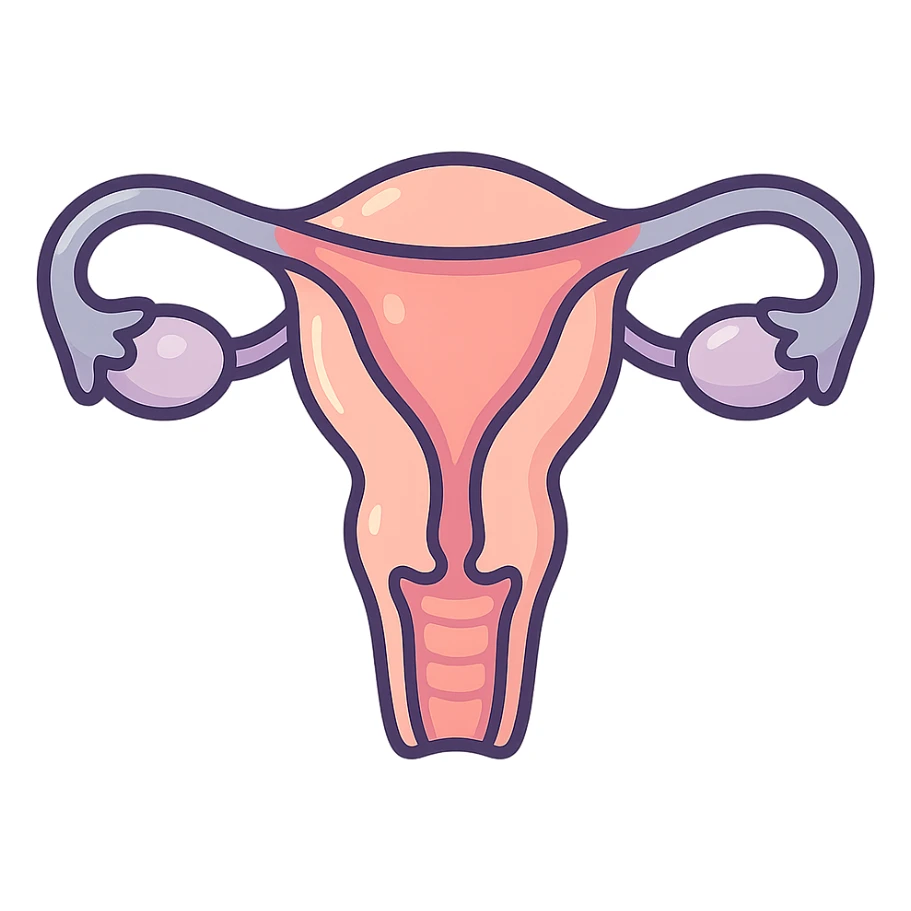 female uterus, very detailed, anatomically accurate shape, detailed shadows and highlights, thin clean contours, soft rounded shapes, pastel palette #98B5BC, #B5B3C1, #C9A3C9, #E4C0CA, #F7DCD1, #F7C0AA, modern Japanese pop art and sticker aesthetic, soft lighting, transparent background sticker