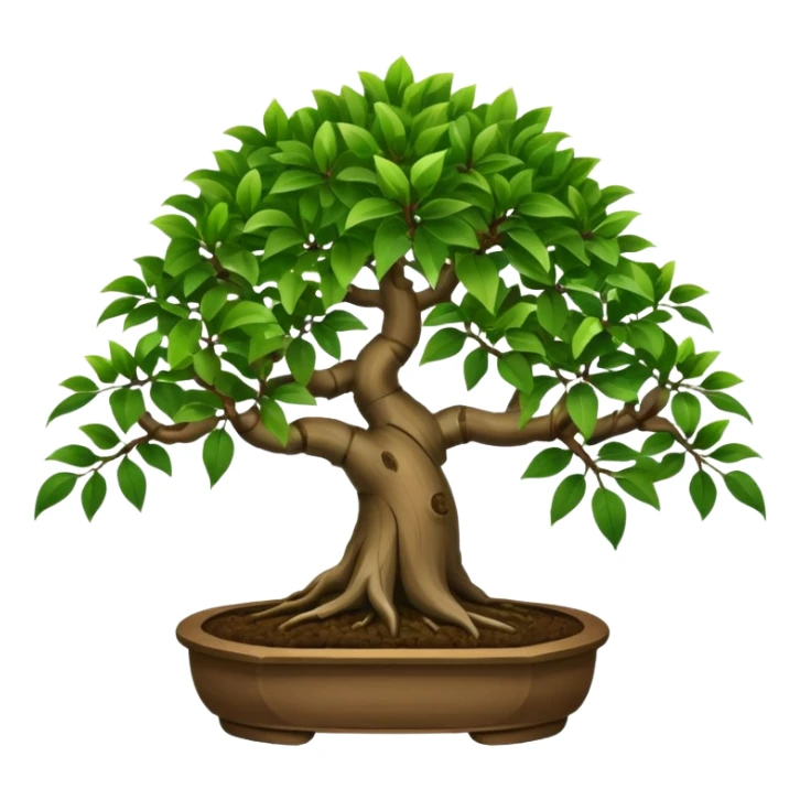 bonsai tree ficus with 8 brances of leaves sticker