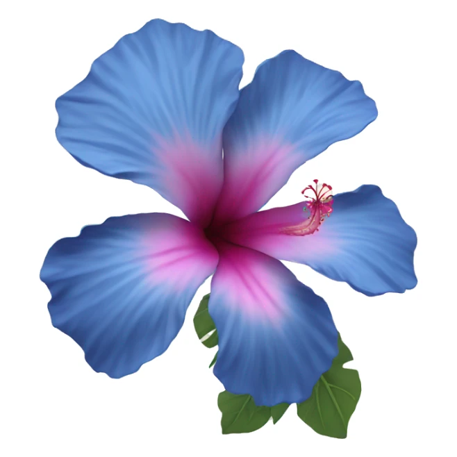 Blue hibiscus flower with some pink part sticker