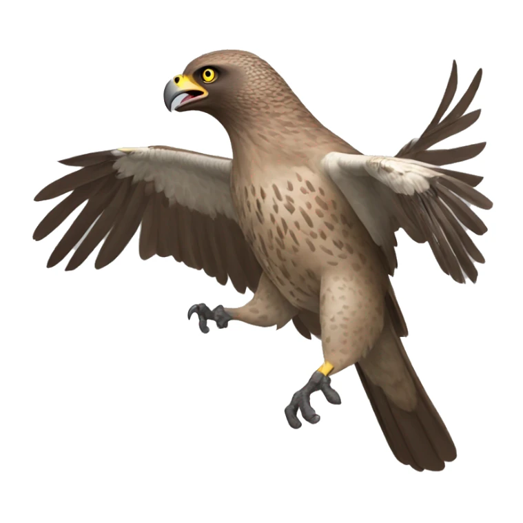 a brown goshawk attacking with his claws, beak open and he is turning right sticker
