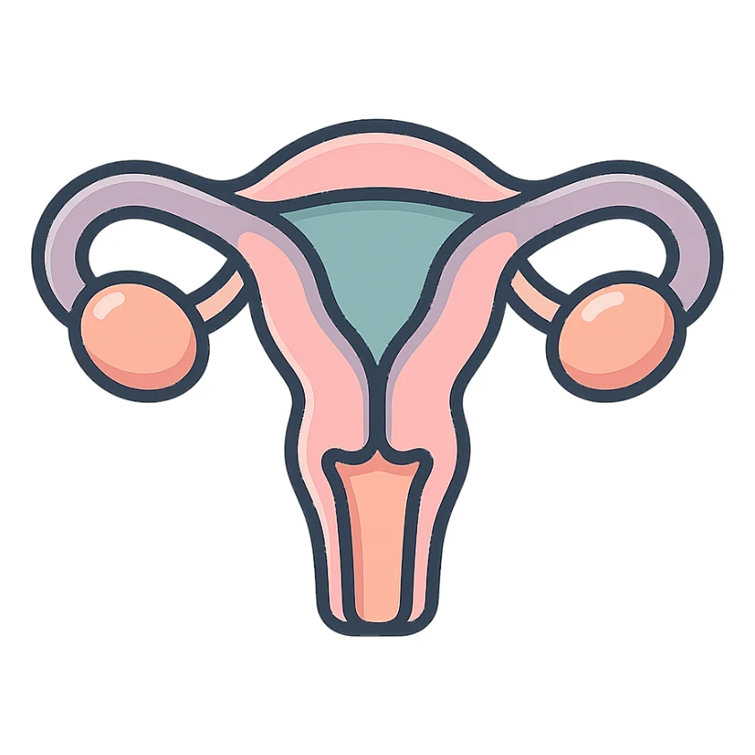 female uterus, icon-color-outlined style, detailed shadows and highlights, thin clean contours, soft rounded shapes, pastel palette #98B5BC, #B5B3C1, #C9A3C9, #E4C0CA, #F7DCD1, #F7C0AA, modern Japanese pop art and sticker aesthetic, soft lighting, transparent background sticker