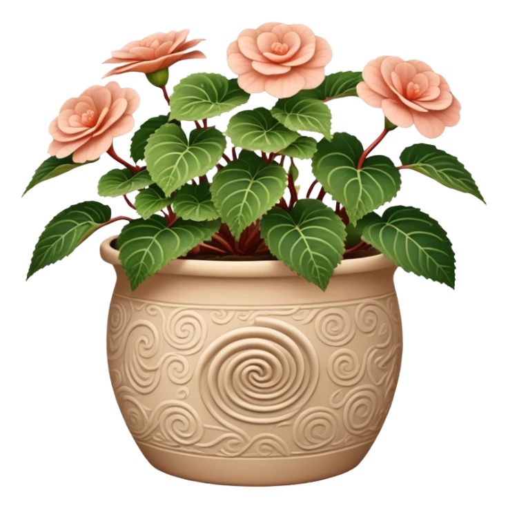 Begonia Rex in a beige pot with spiral pattern leaves sticker