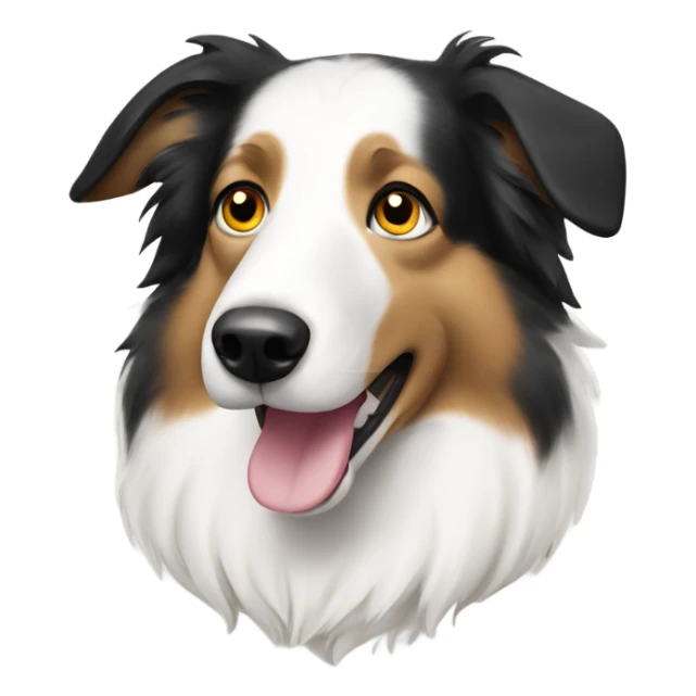 Collie with a black spot on right eye and white fur sticker