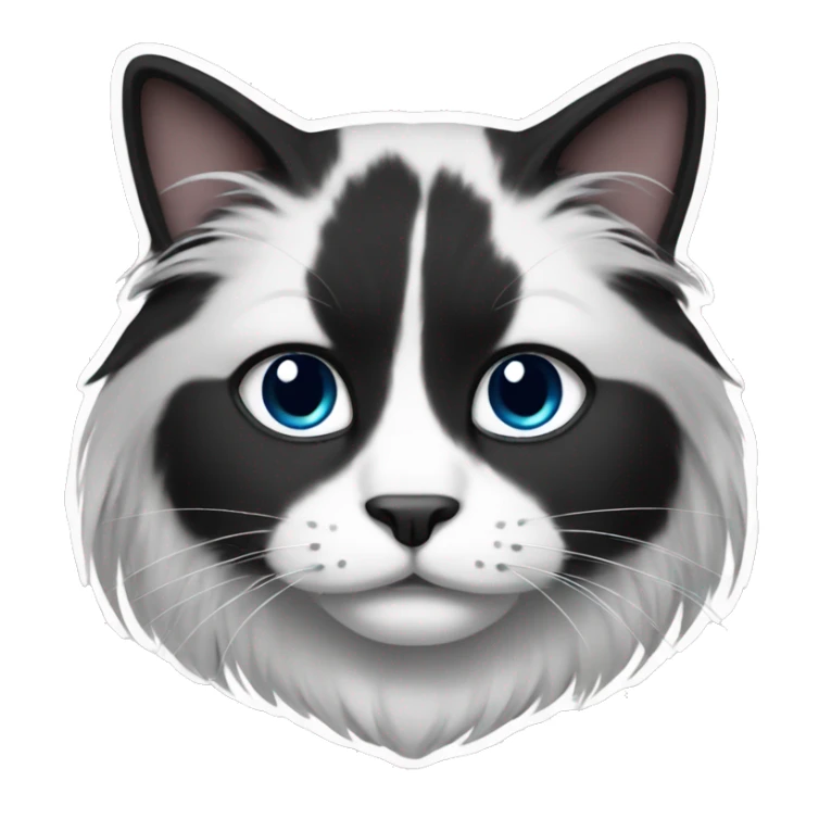 black and white long hair cat sticker