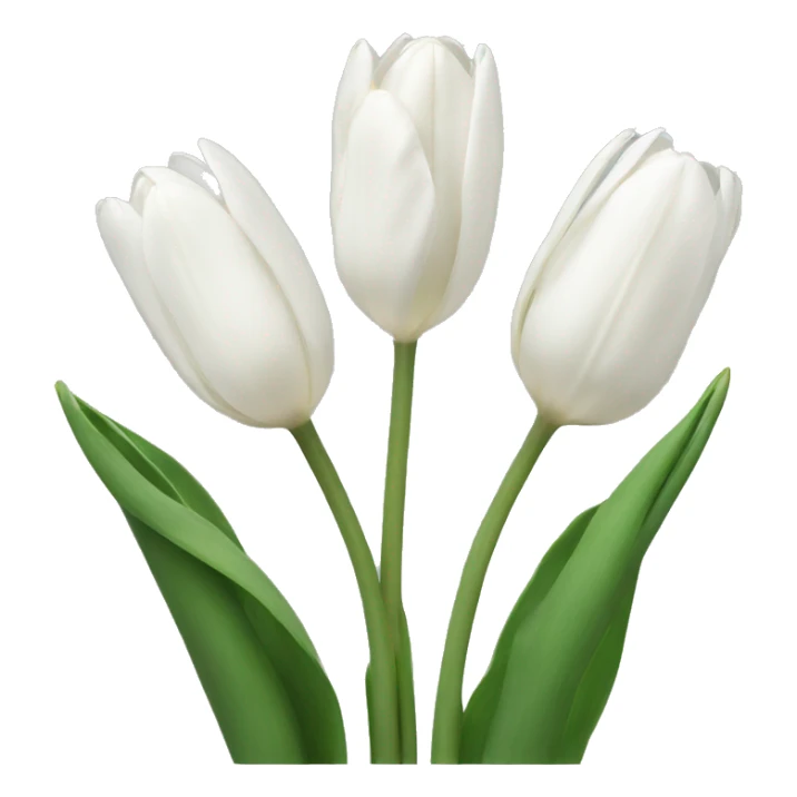 White tulips sticker