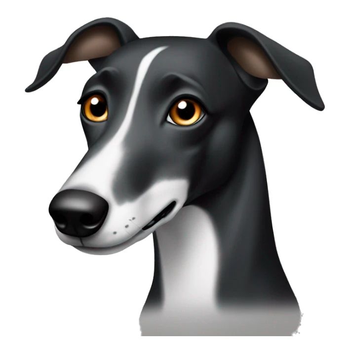 Black and white greyhound with brown eyes and half her face black  sticker