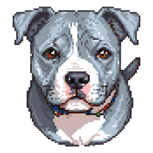 round circle puppy head full grey bleu staffy, stupid expression sticker