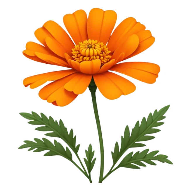 cempasúchil flower, Mexican marigold, bright orange with layered petals sticker