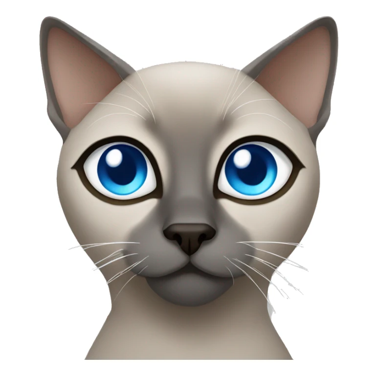 Grey tonkinese cat blue eyes sticker