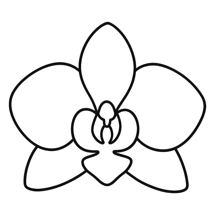 hand-drawn outline style orchid flower icon sticker