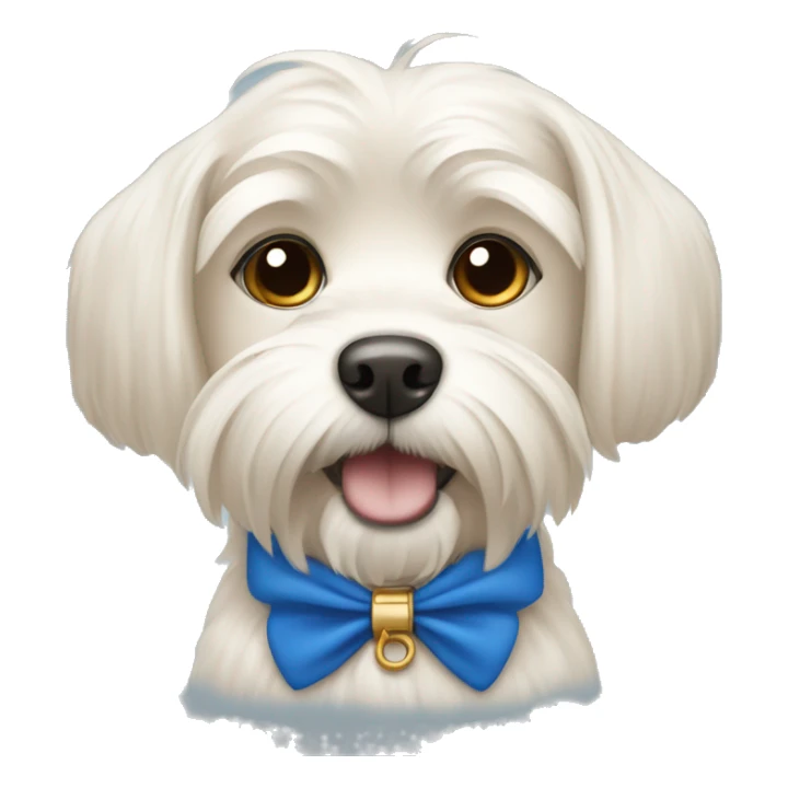 A beige Maltese dog with a blue collar sticker