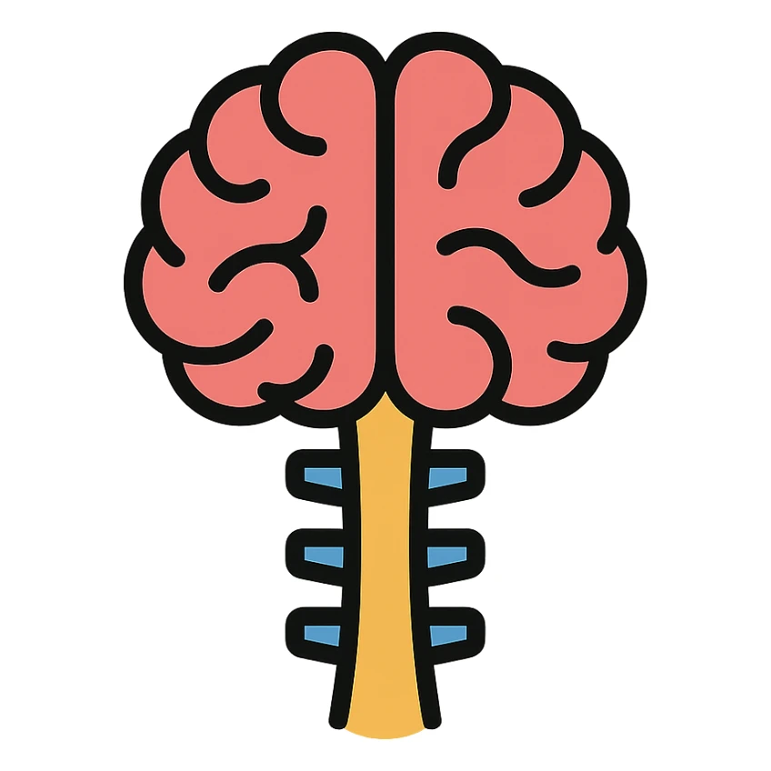 brain and spinal cord, stylized icon, minimal color, modern look sticker
