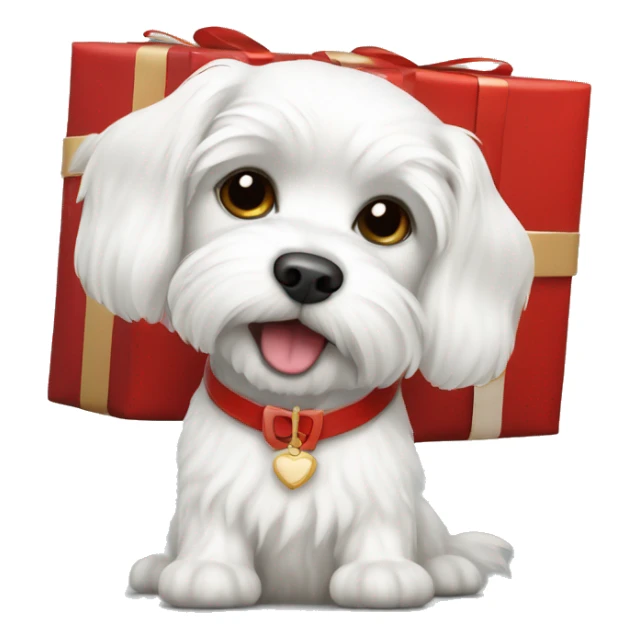  white maltese dog and red gift sticker