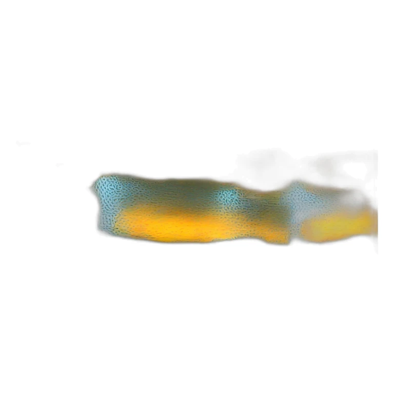 michael jordan wearing pittsburgh steelers jersey sticker