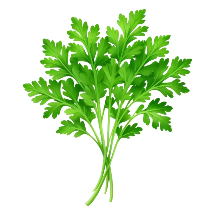 Cinematic Realistic Parsley Emoji, Fresh and vibrant, with bright green, frilly leaves that seem to shimmer with vitality. The plant exudes a sense of healthy growth and aromatic zest, inviting both beauty and flavor into any dish. Soft glowing outline, capturing the essence of freshness, health, and culinary delight in a sprig of parsley! sticker