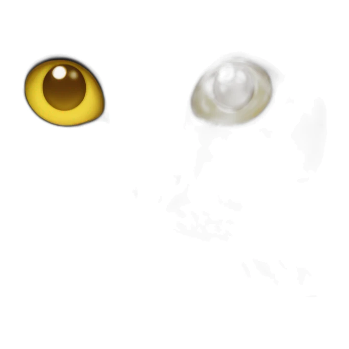 british short hair cat with yellow eyes thumb sticker