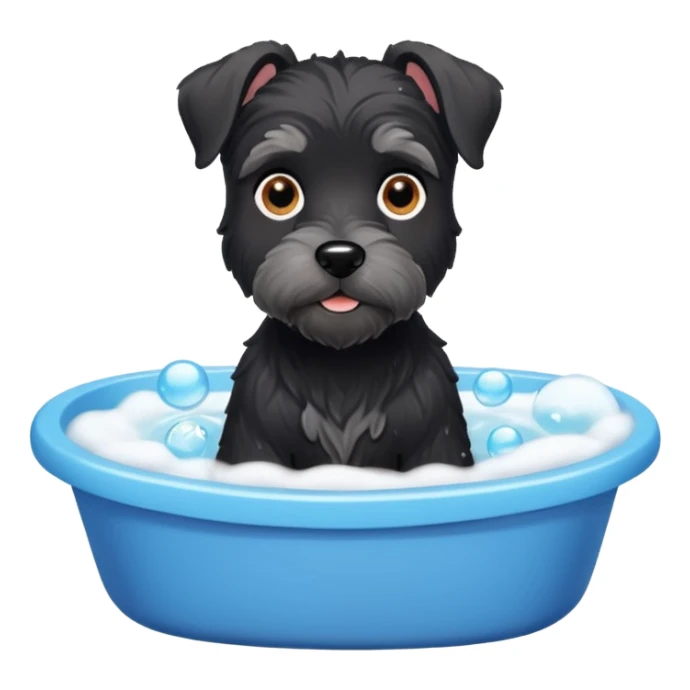 Black miniature schnauzer getting a bath in tub with soapy bubbles sticker