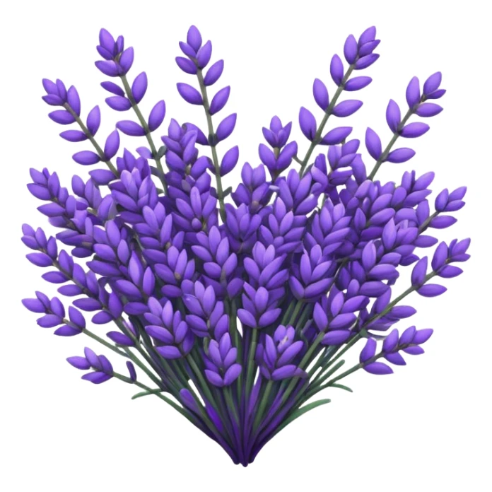 Heart of lavander sticker