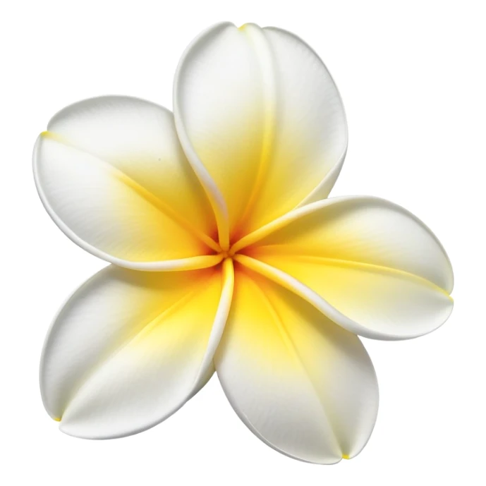 plumeria flower with five white petals and yellow center sticker