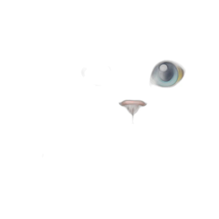 white fluffy cat with heterochromia sticker