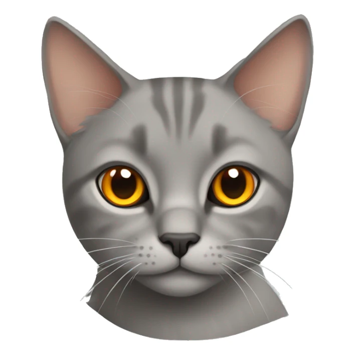 Grey straight-eared Scottish cat with orange eyes sticker