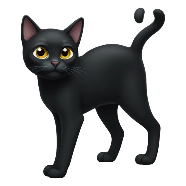 Black cat standing, the cat has white paws and white chest sticker