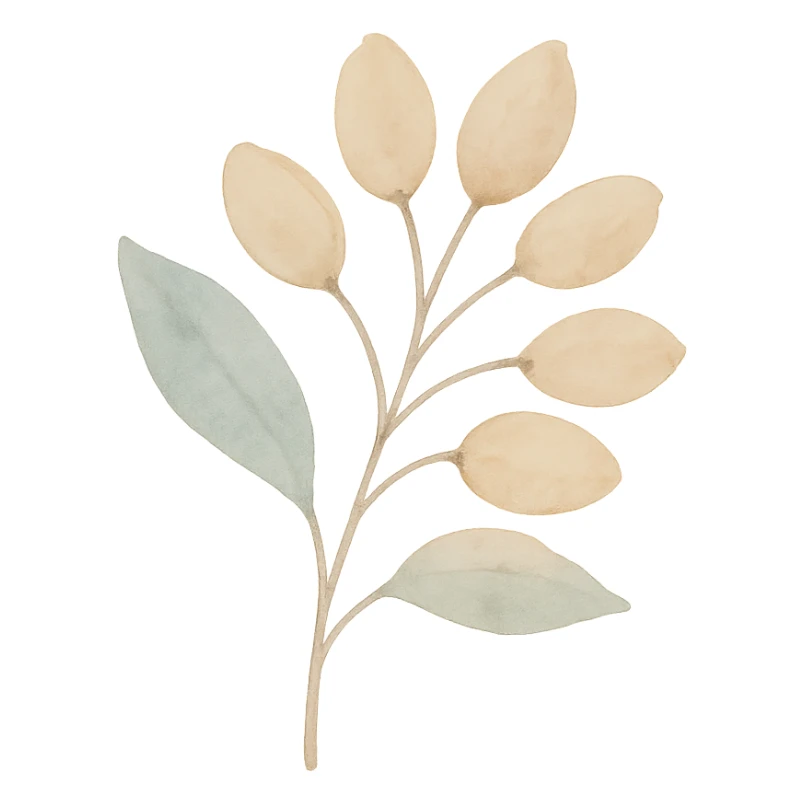 illustration of Kinkéliba seeds, natural style, soft colors, no text sticker