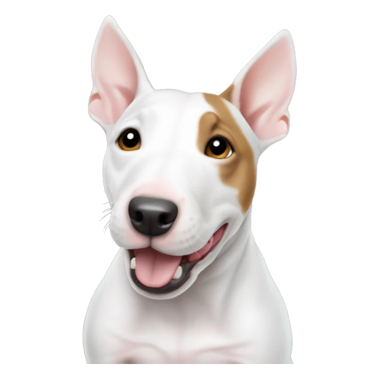 Miniature bull terrier white ginger sticker