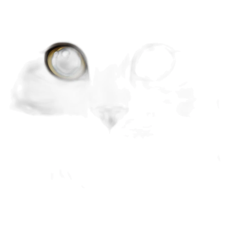 Blue lynx point with white female Siberian cat sticker